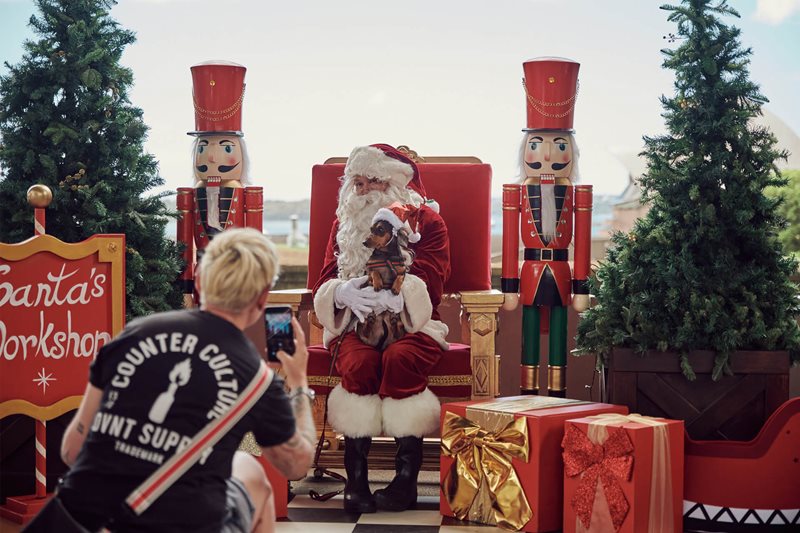 Santa Paws Pet Photos