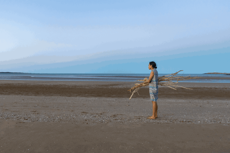 Auslan tour: Primavera 2022 | MCA Exhibition