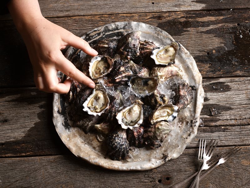 Guinness & Oyster Festival