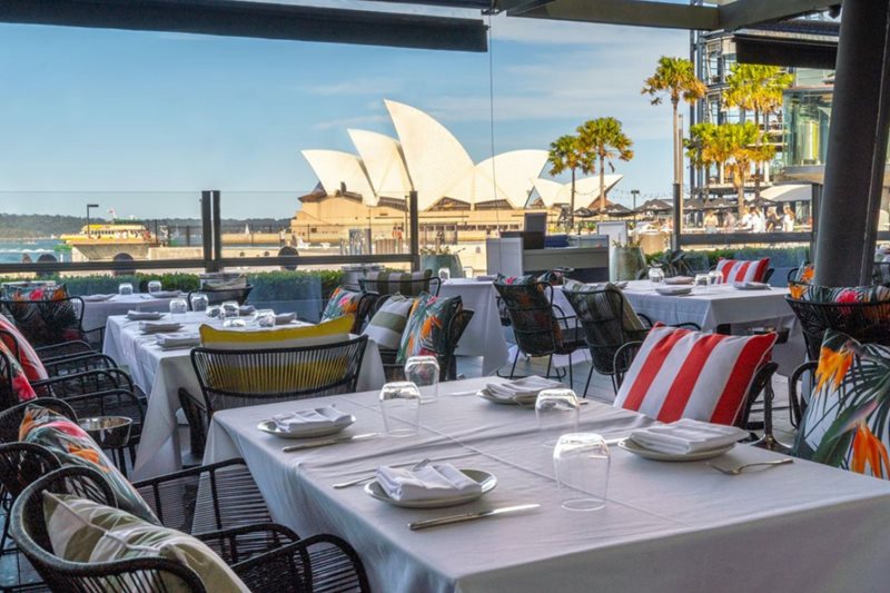 Dine to Fly and Bonus Miles with Kris+