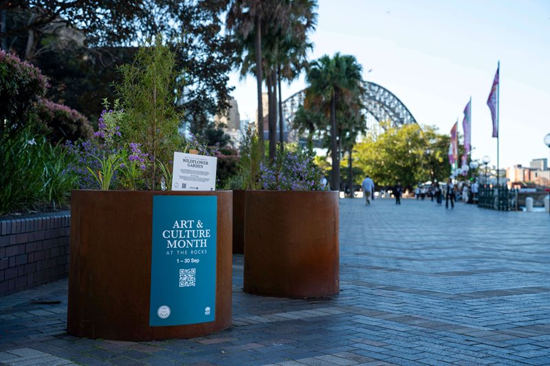 Wildflower's Native Botanicals Display