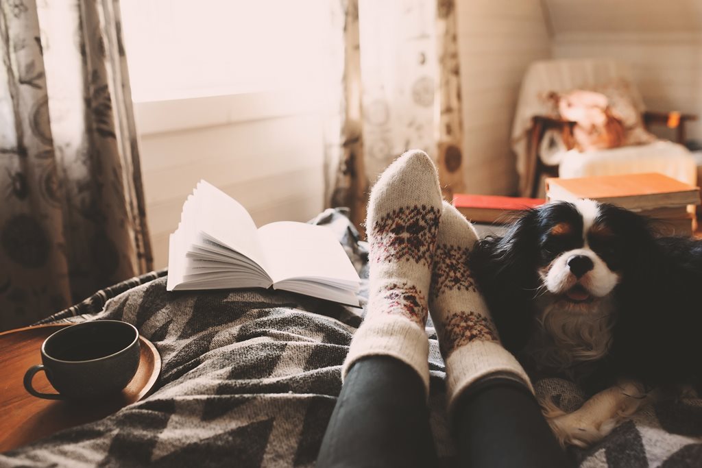 Five perfect books to read while self-isolating