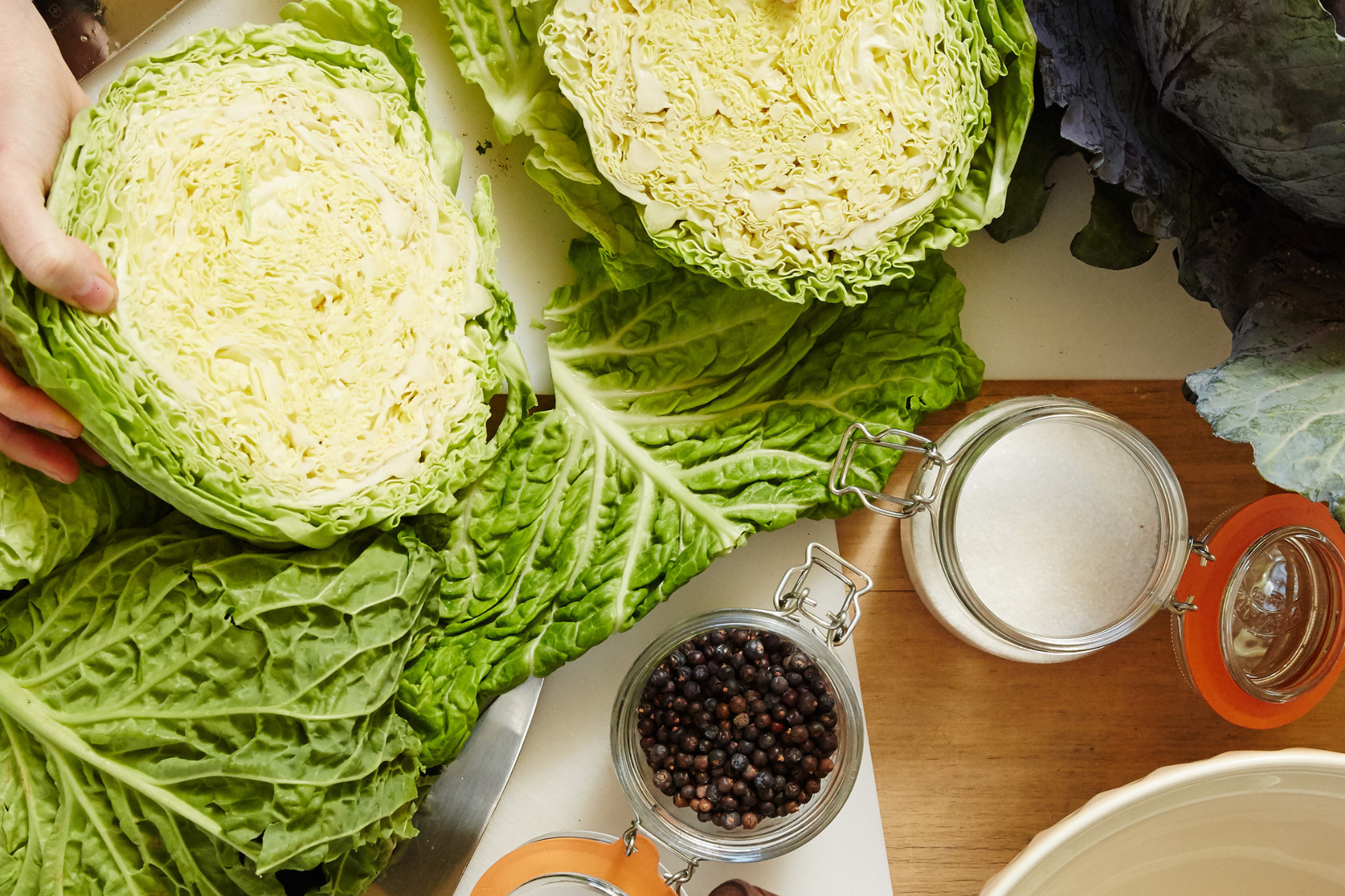 LIMITED SPOTS: Fermenting Masterclass with Cornersmith