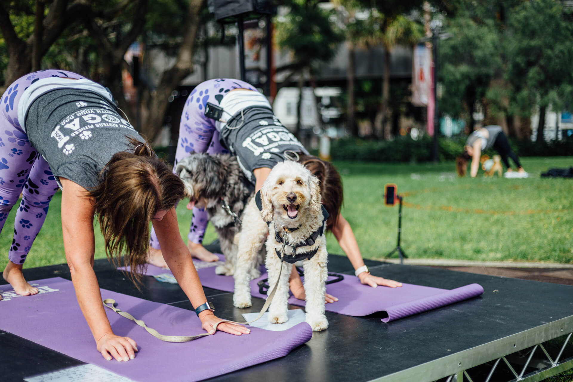 Doga in The Park