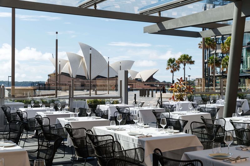 Buy one get one free mains at Harbourfront Seafood Restaurant