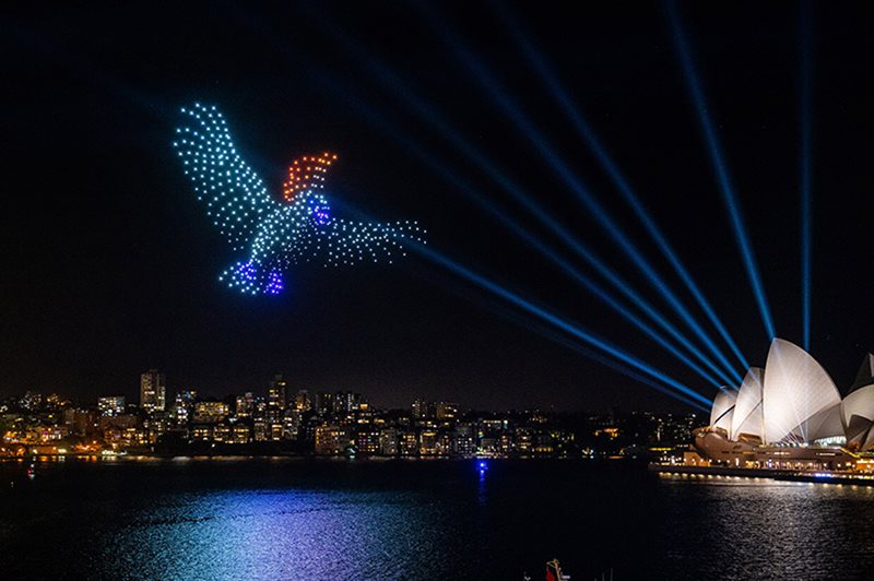 Dine and Drone Show