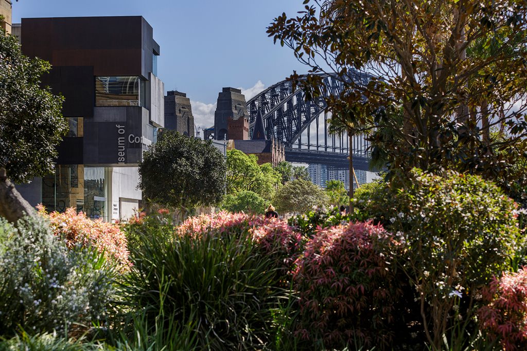 Zoom catch ups at The Rocks’ most iconic spots