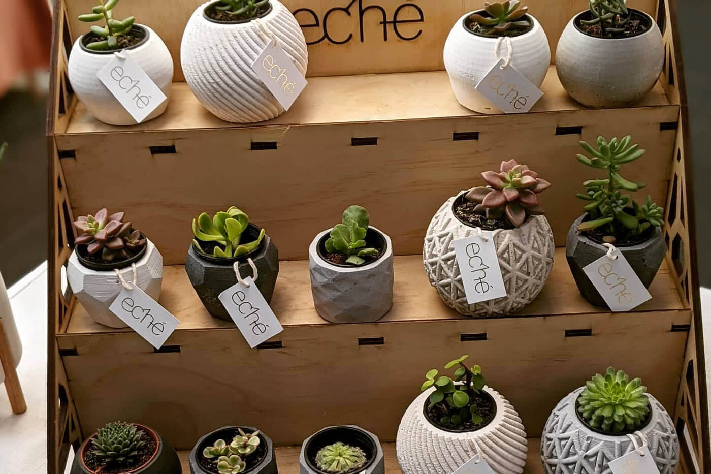 Eché Pots