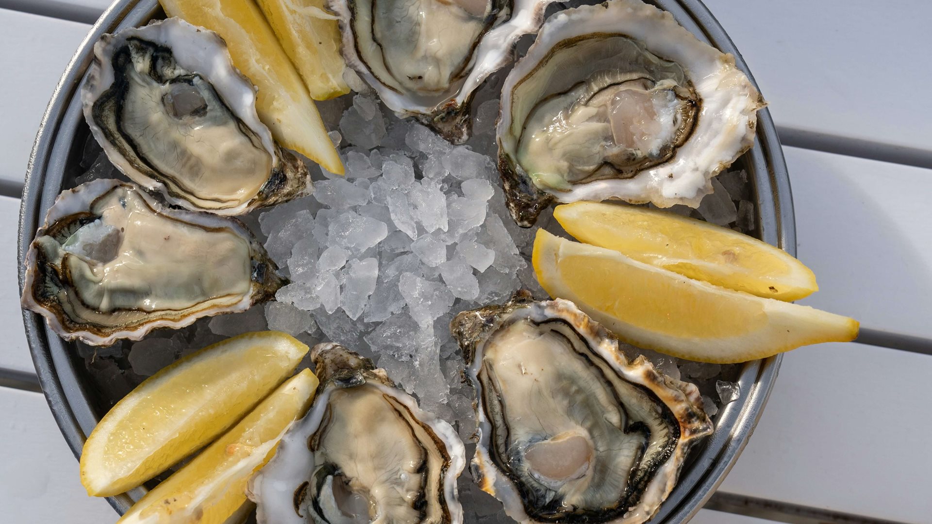 Oyster Lounge at Hooked & Harvest