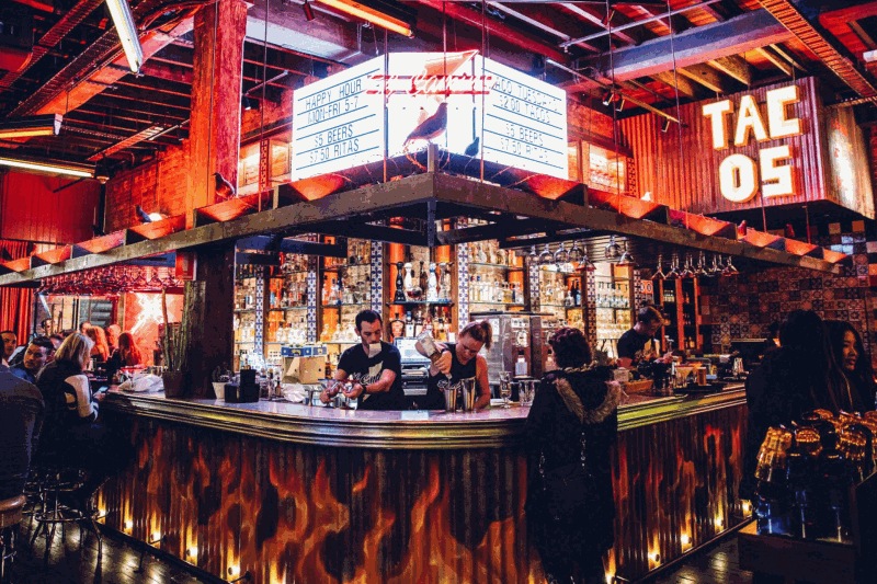 Vivid is back and El Camino is ready to GLOW!