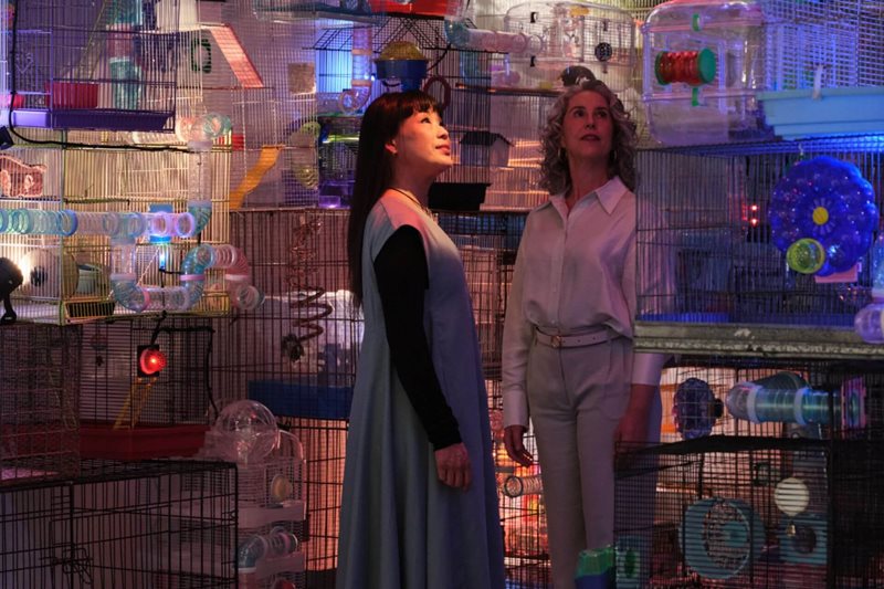 MCA Telstra Free Day