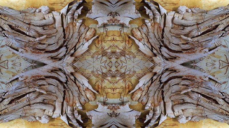 Culture is Life by Wayne Quilliam