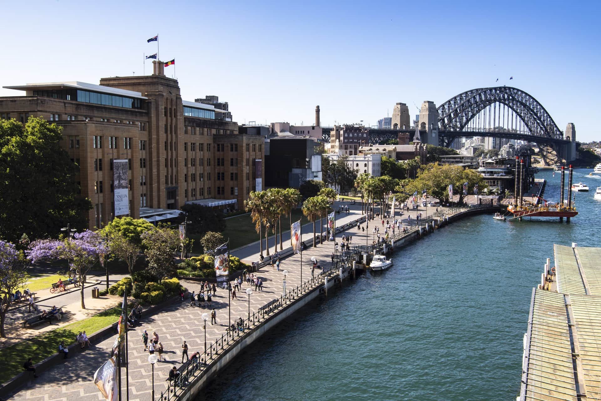 circular quay chinese new year