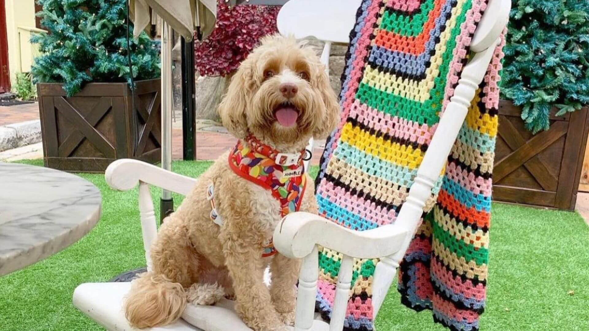 Bring Your Owner