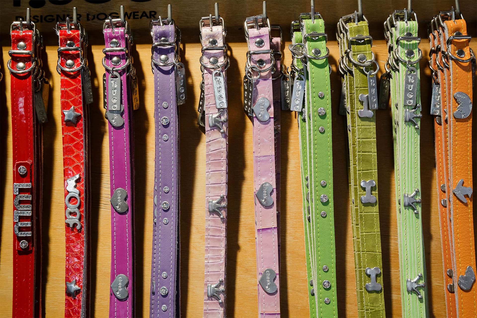 Hugo Designer Dogwear