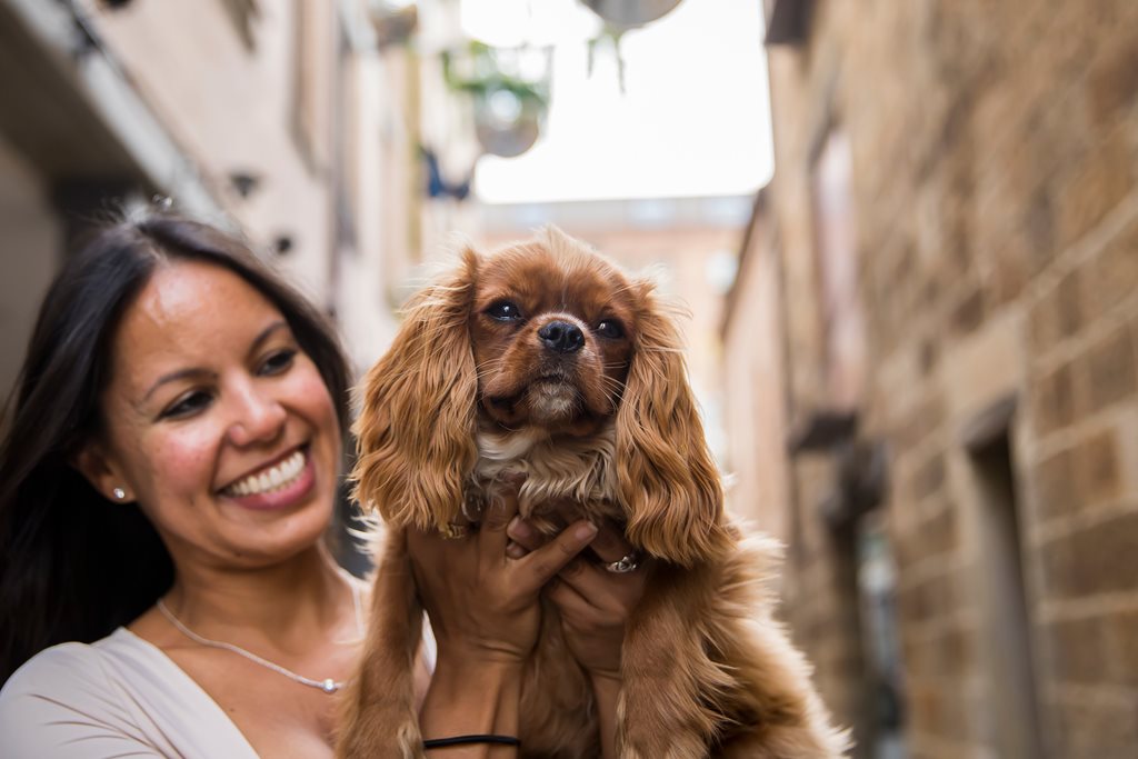 Doggo day out: Pet-friendly retailers, bars, cafes and restaurants in The Rocks
