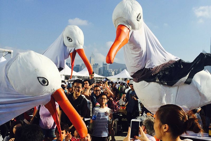 Seagulls