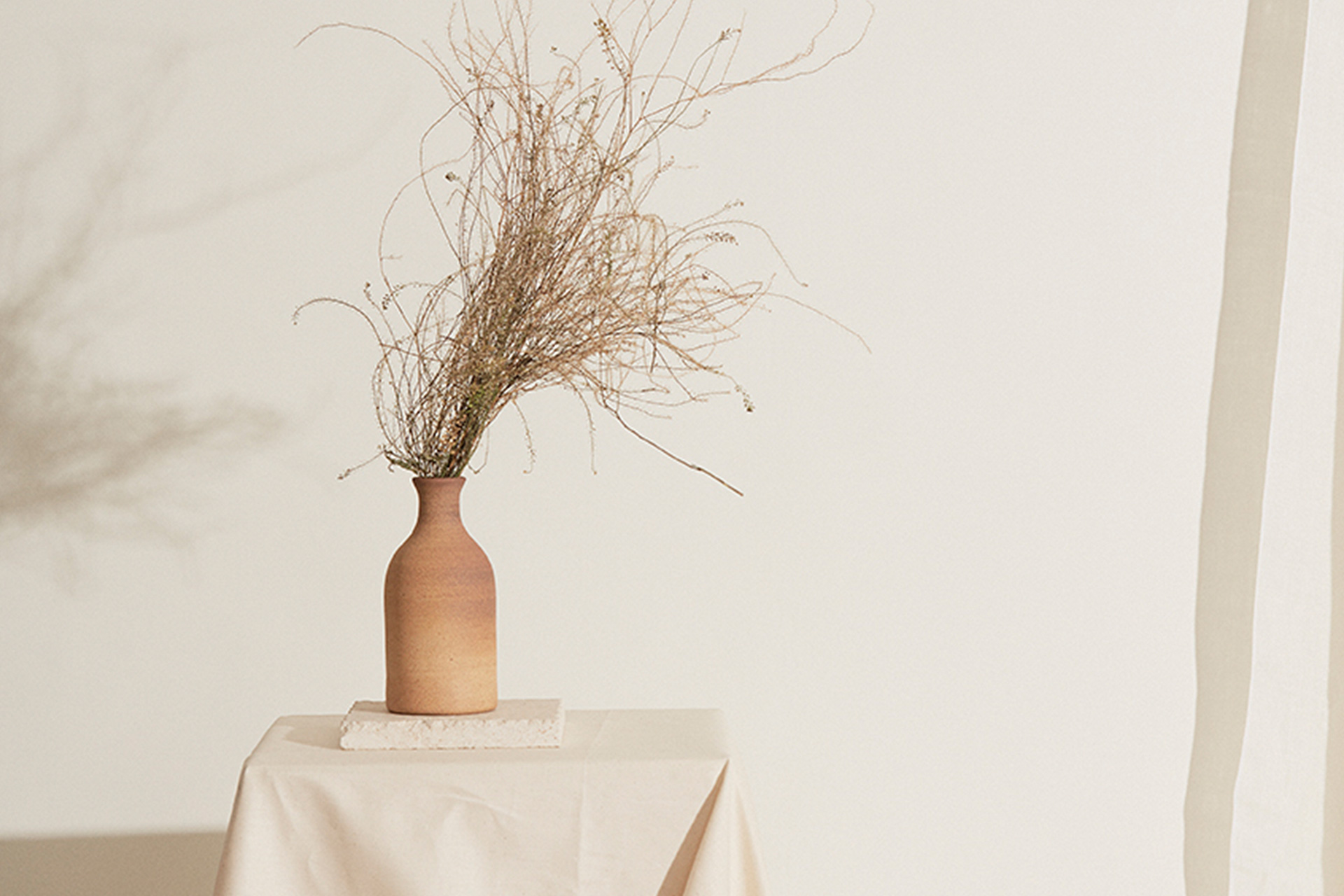 Eloise Panetta Pop Up