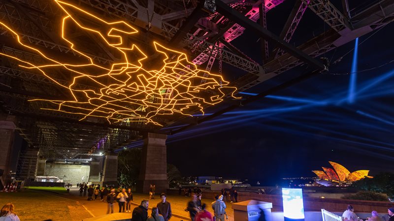 Conscious Connections Night Picnic