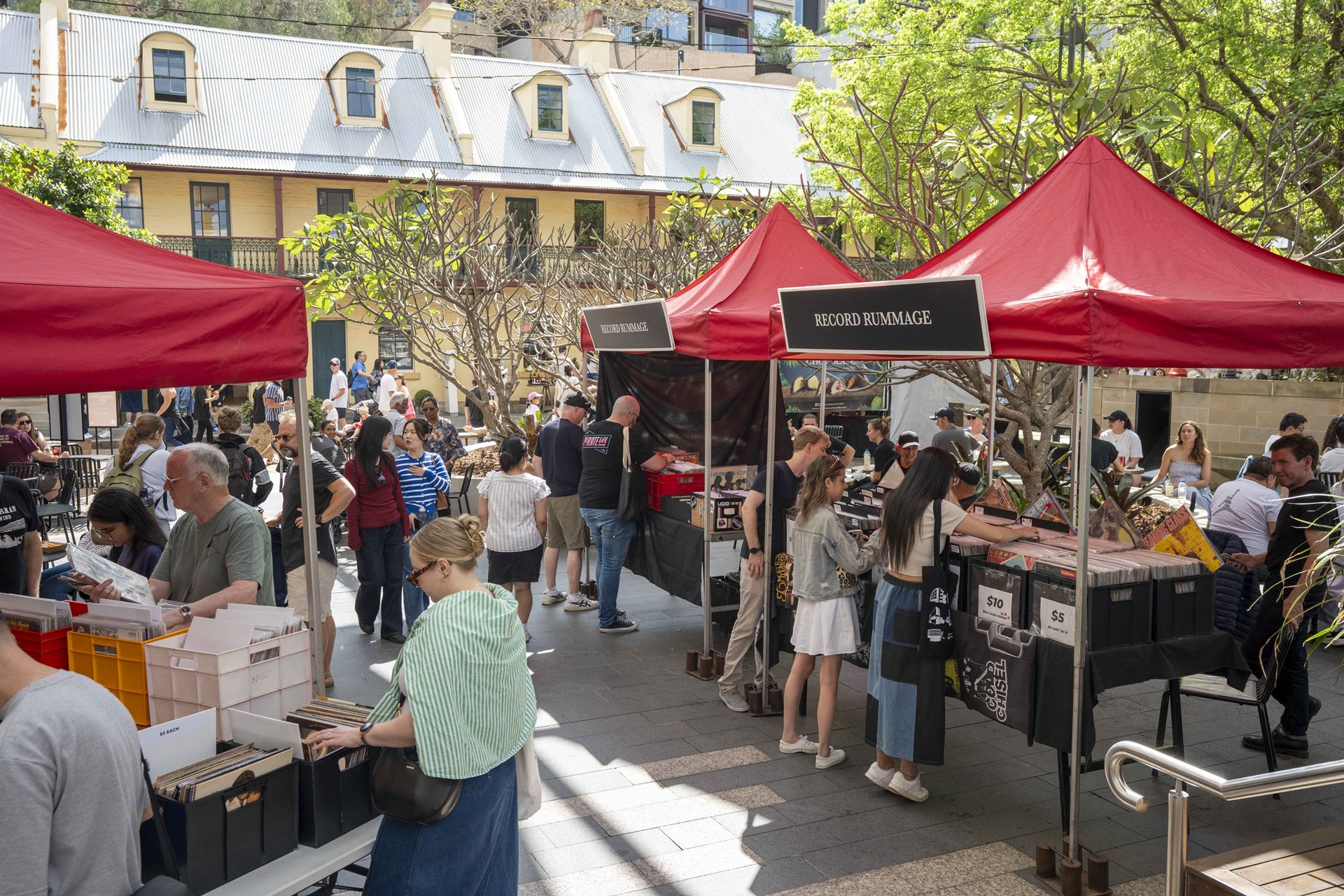 Snake Bark 1st Birthday and Record Rummage