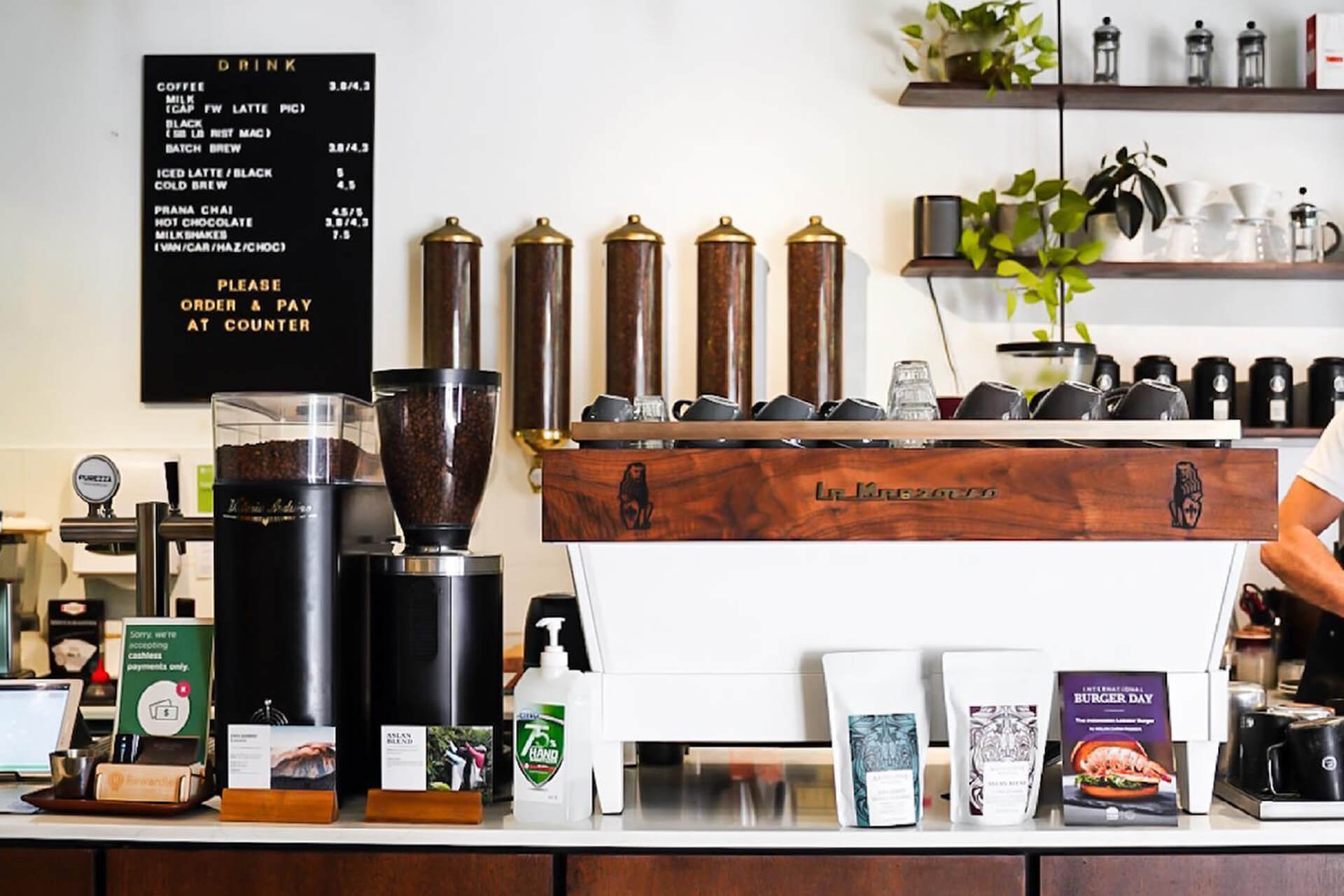 Coffee Cupping and Roasting Workshop for Beginners