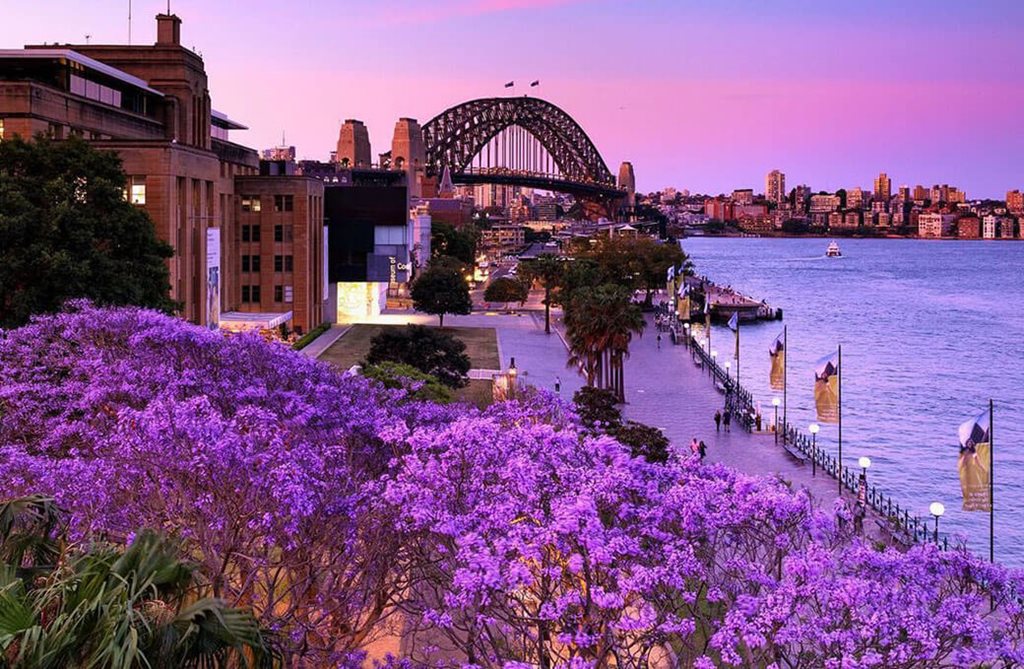 5 of the best public parks in The Rocks
