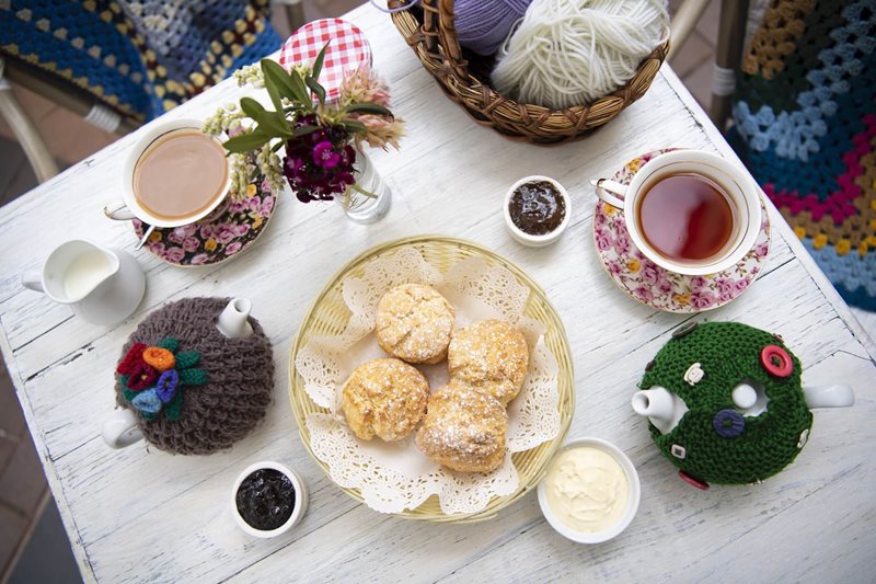 Pumpkin Scones and Spiders