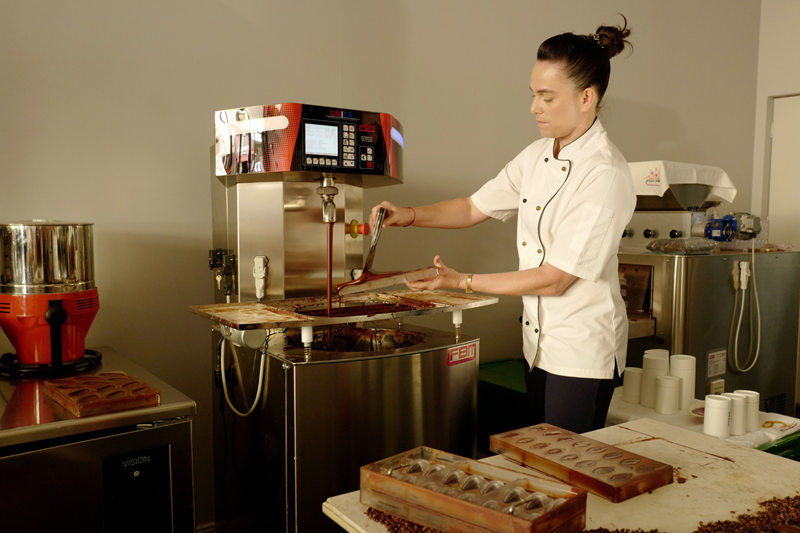 Chocolate Tasting with Chocolate Artisan