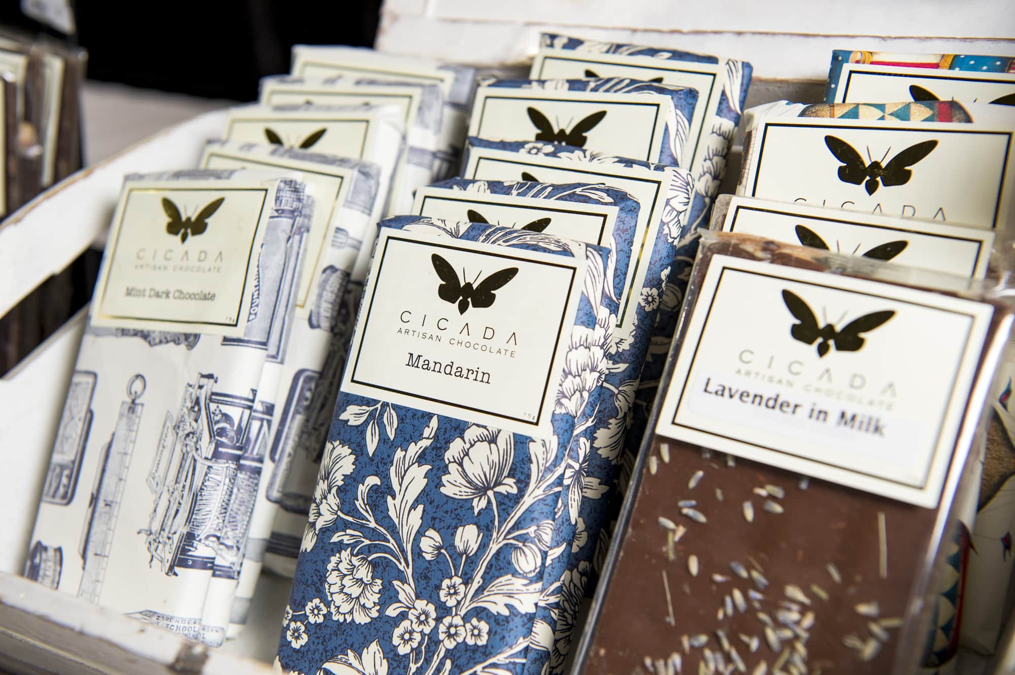 Cicada Chocolate