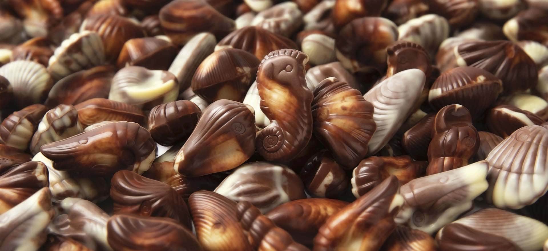 Guylian Belgian Chocolate Café